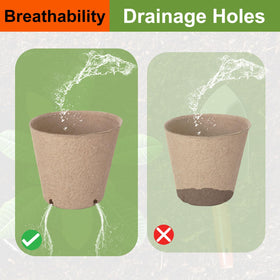 NadaKin biodegradable pots ready to plant in soil