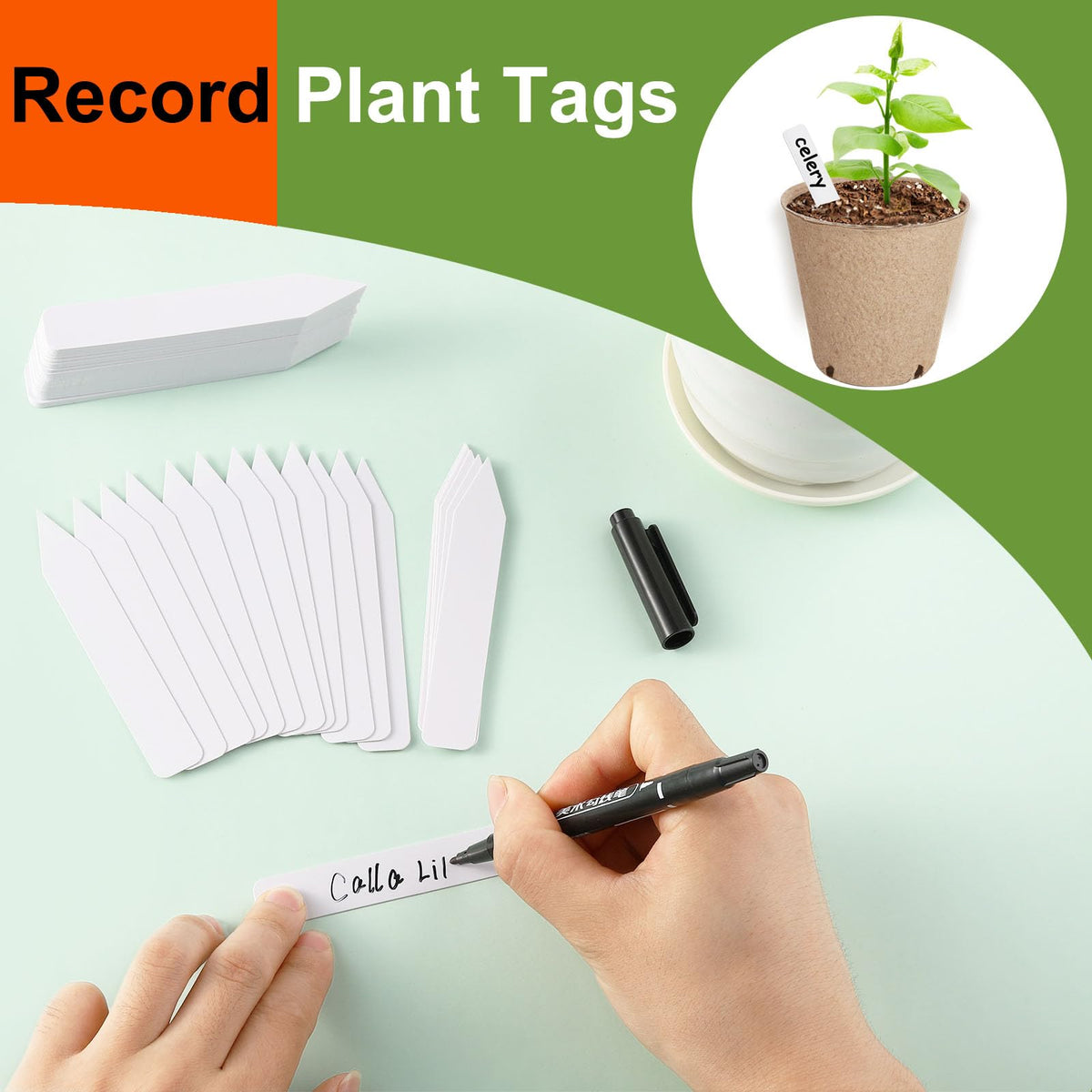 NadaKin plant labels included help track varieties and germination dates.