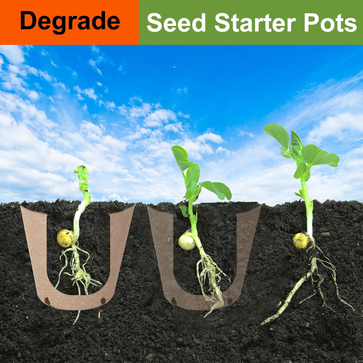 NadaKin seedling nursery pots with drainage holes promote healthy root development and drainage.