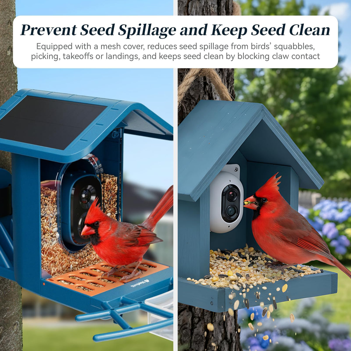 Nafnti Bird Visitor alert demonstrates instant arrival notifications
