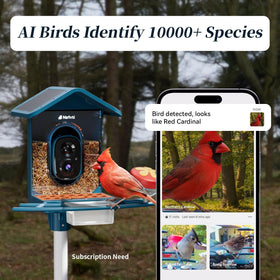 Nafnti Smart Bird Feeder wide-angle lens captures a wider scene of visitors