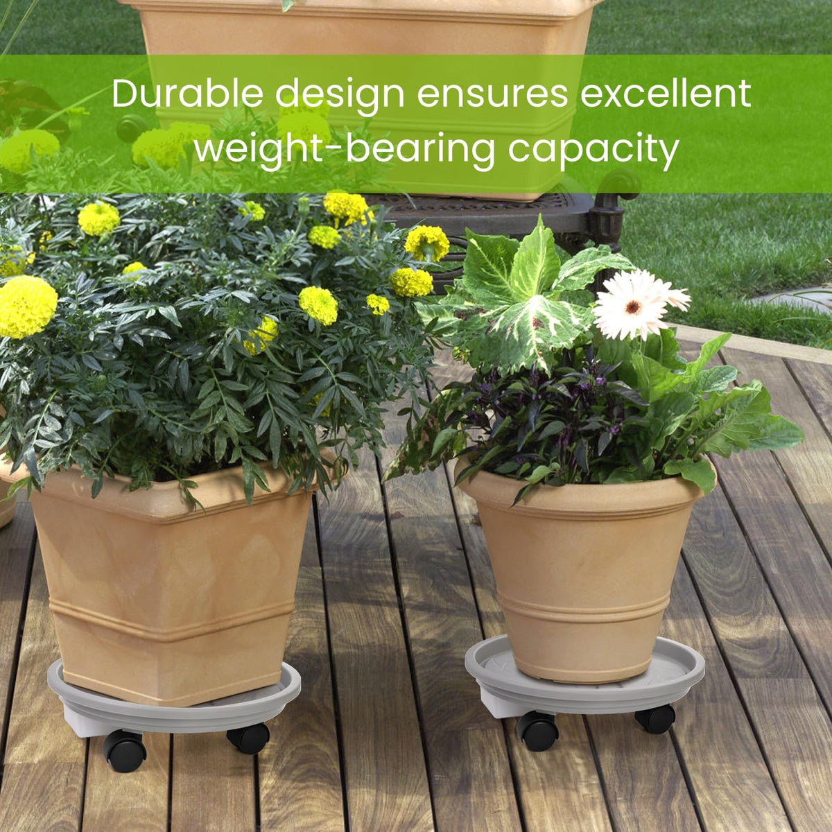 Nagpew 3-pack design for versatile indoor and outdoor use.
