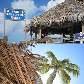 NAHARO premium palm thatch elevates garden décor with a tropical vibe.