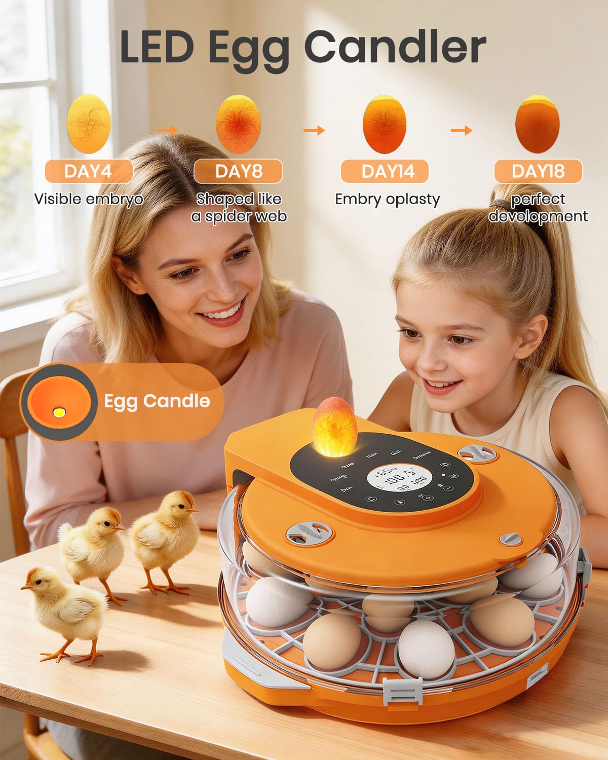 Nailrepro two-tray design supports various egg sizes.