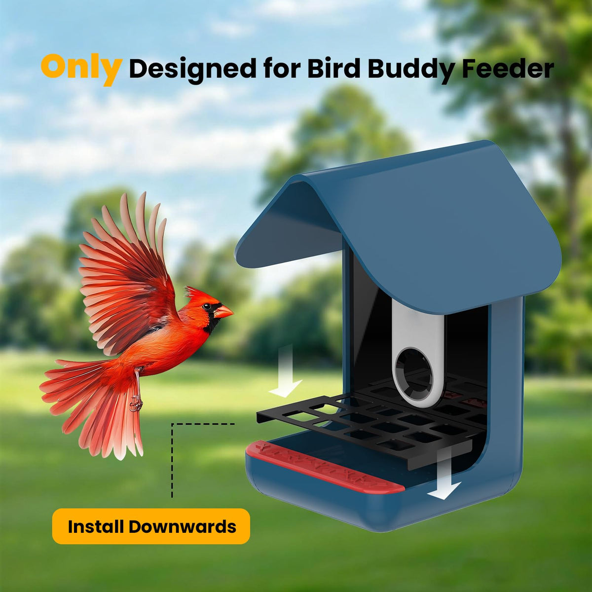 Nakucholy Metal Seed Guard for Bird Buddy — snap-on installation for quick setup