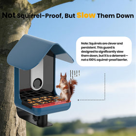 Nakucholy Metal Seed Guard for Bird Buddy — weatherproof durability against rain and sun