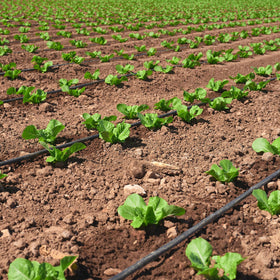 Nalwort 16mil garden tubing emphasizes durability for long lasting irrigation.