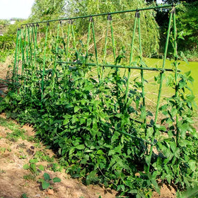 NANOPRETTY 20-stake pack ready for multiple plants in one bed.