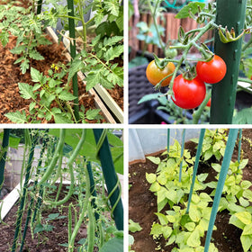 NANOPRETTY outdoor stakes suitable for vines and climbing plants