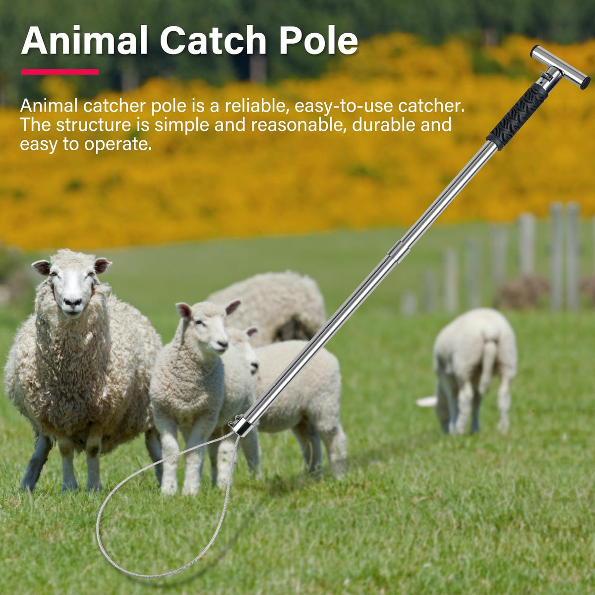 NAOEDEAH rubber anti-slip handle for comfortable grip.