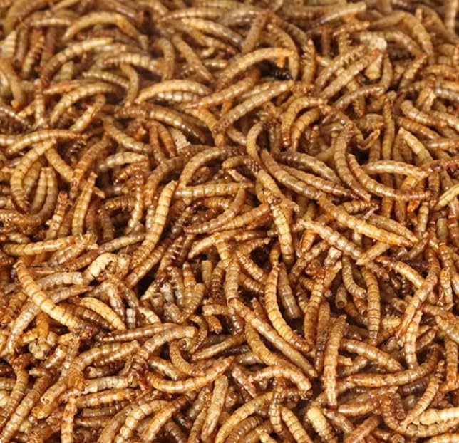 NAOUTHLY dried mealworms resealable packaging keeps freshness between feedings