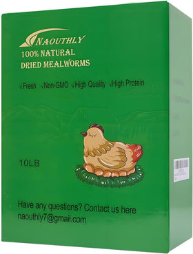 NAOUTHLY mealworms for chickens feeding scene highlighting high-protein poultry nutrition