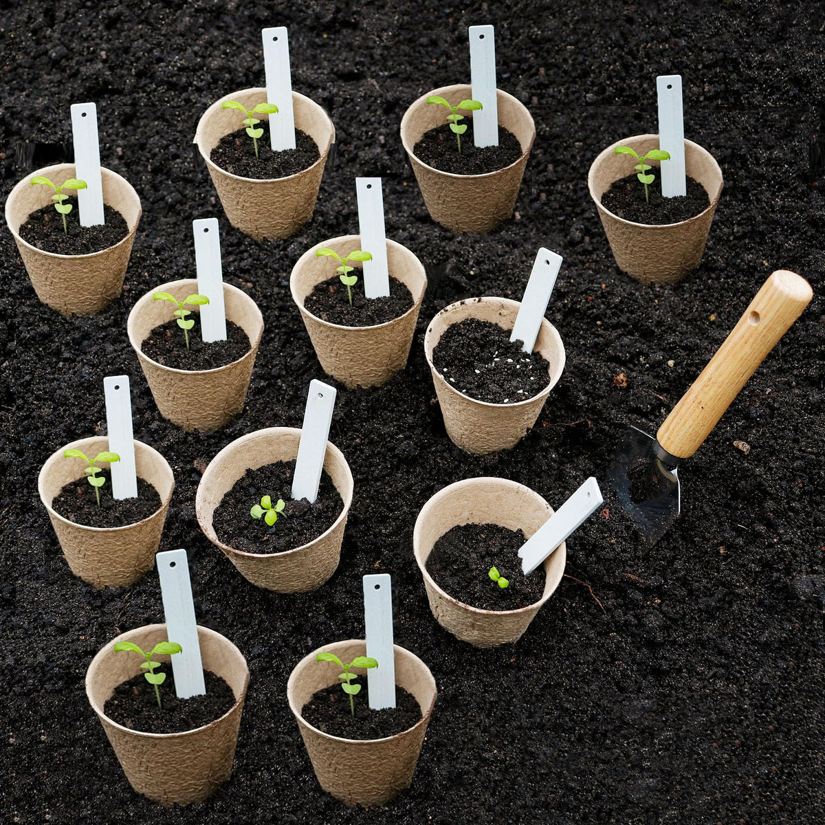 Napia 1020-tray compatible pots support organized seed-start setups.