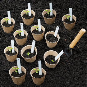 Napia 1020-tray compatible pots support organized seed-start setups.