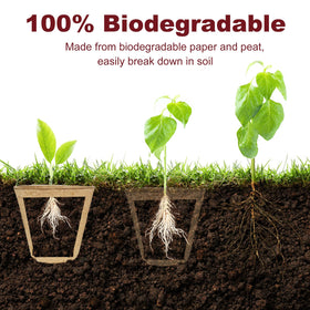 Napia peat pots with drainage holes promote airflow and healthy roots.