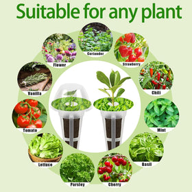 Natalolo pod labels stay sticky for trackable plant varieties