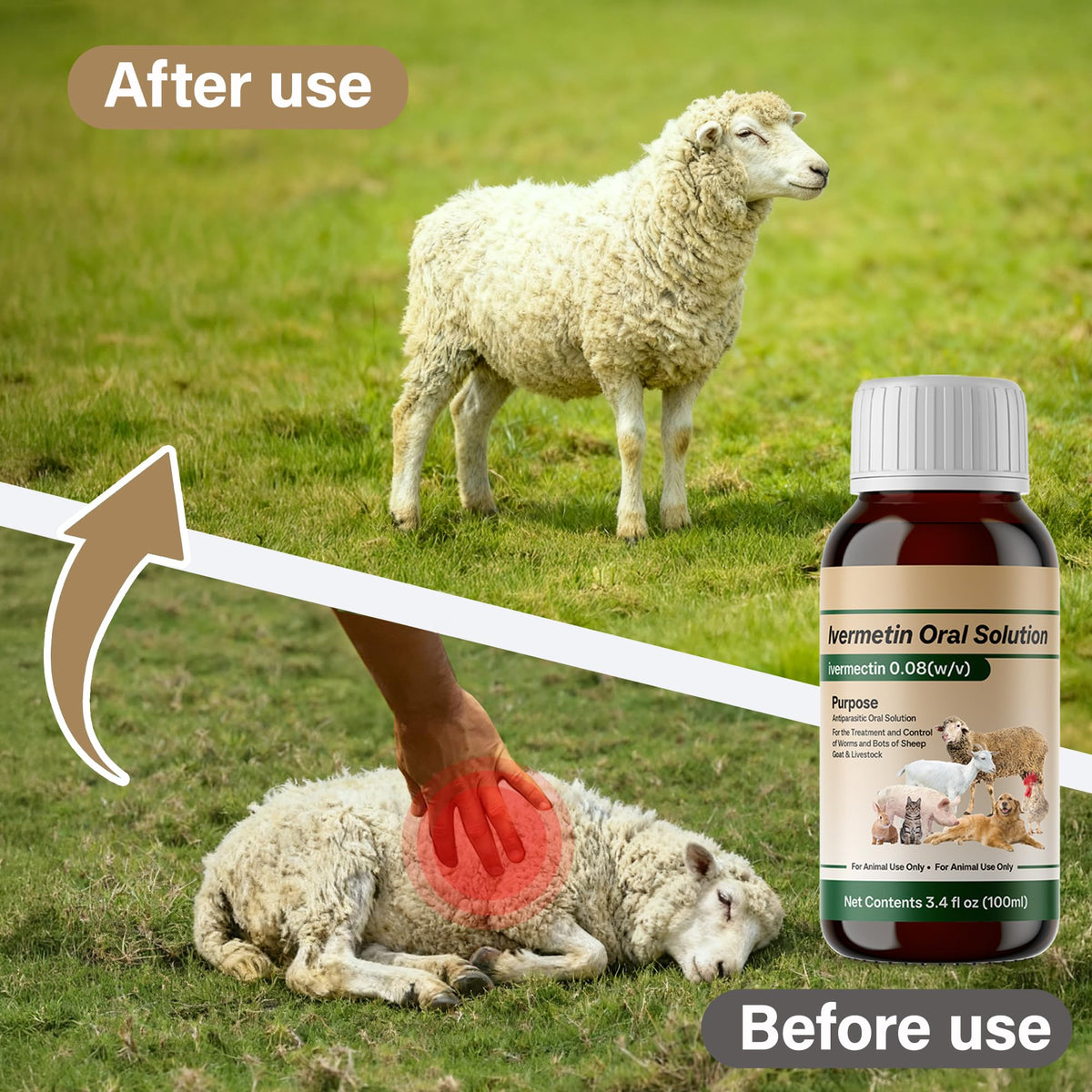 NateNight Ivermectin liquid for poultry, supports broad flock care.