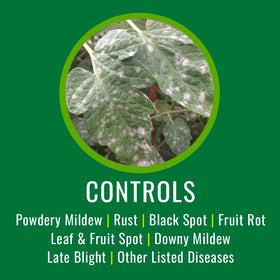 NATRIA copper fungicide spray protects vegetables, fruits, and ornamentals.