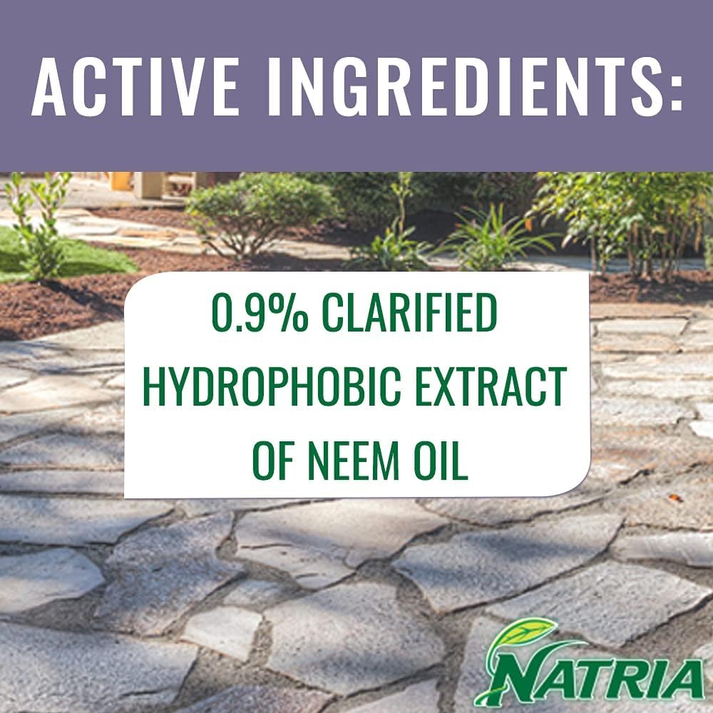 Fungus and disease protection with Natria Neem Oil Spray on plants
