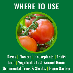 Natria Neem Oil Spray in outdoor garden to protect plants.