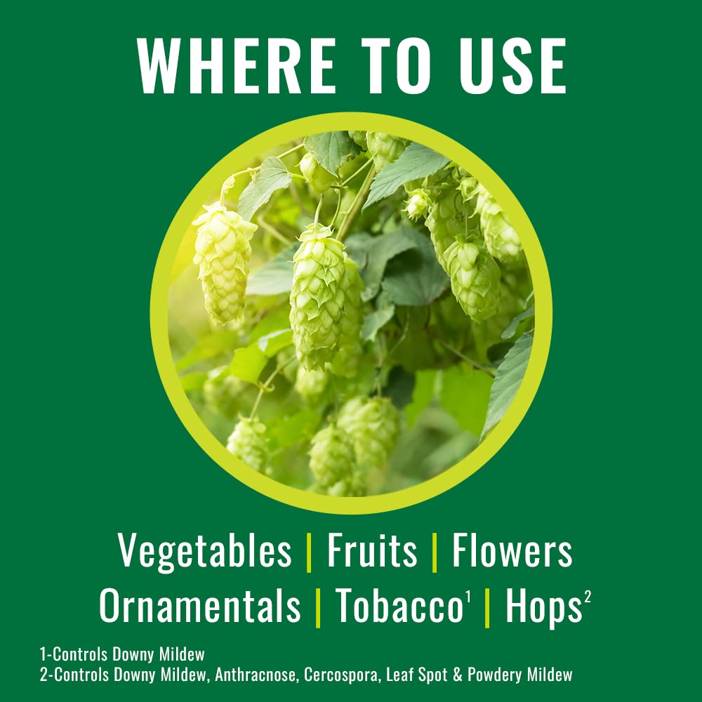 NATRIA protects buds and flowers from powdery mildew and rust.