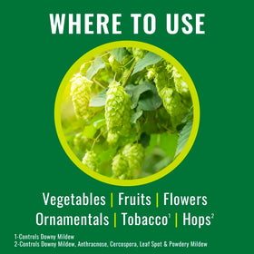 NATRIA protects buds and flowers from powdery mildew and rust.