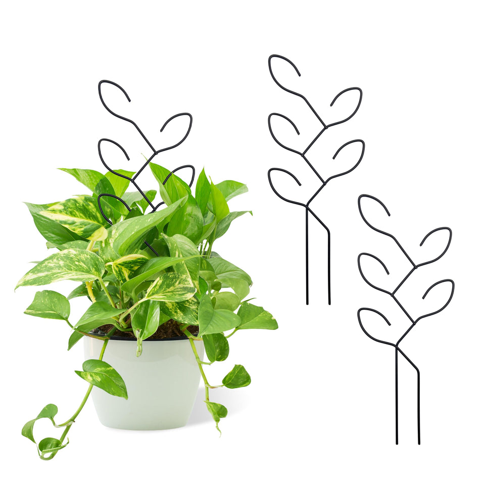 Natrlart 2Pcs Metal Leaf Shape Garden Trellis provides graceful support for indoor pots