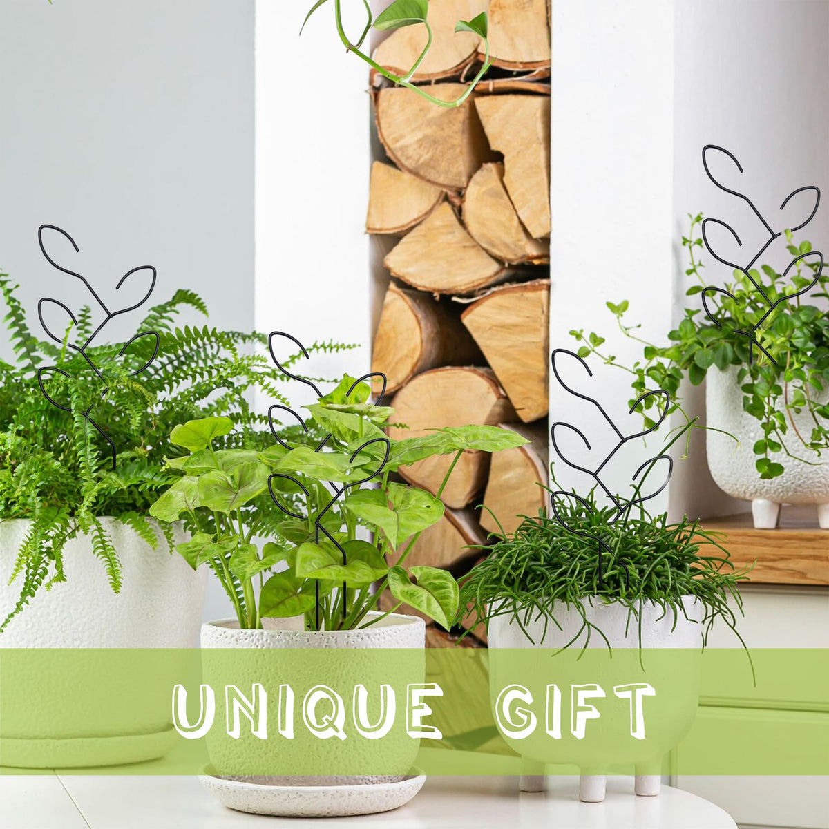 Natrlart versatile indoor garden accessory suitable for Monstera pothos and small climbers