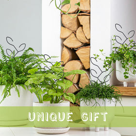 Natrlart versatile indoor garden accessory suitable for Monstera pothos and small climbers