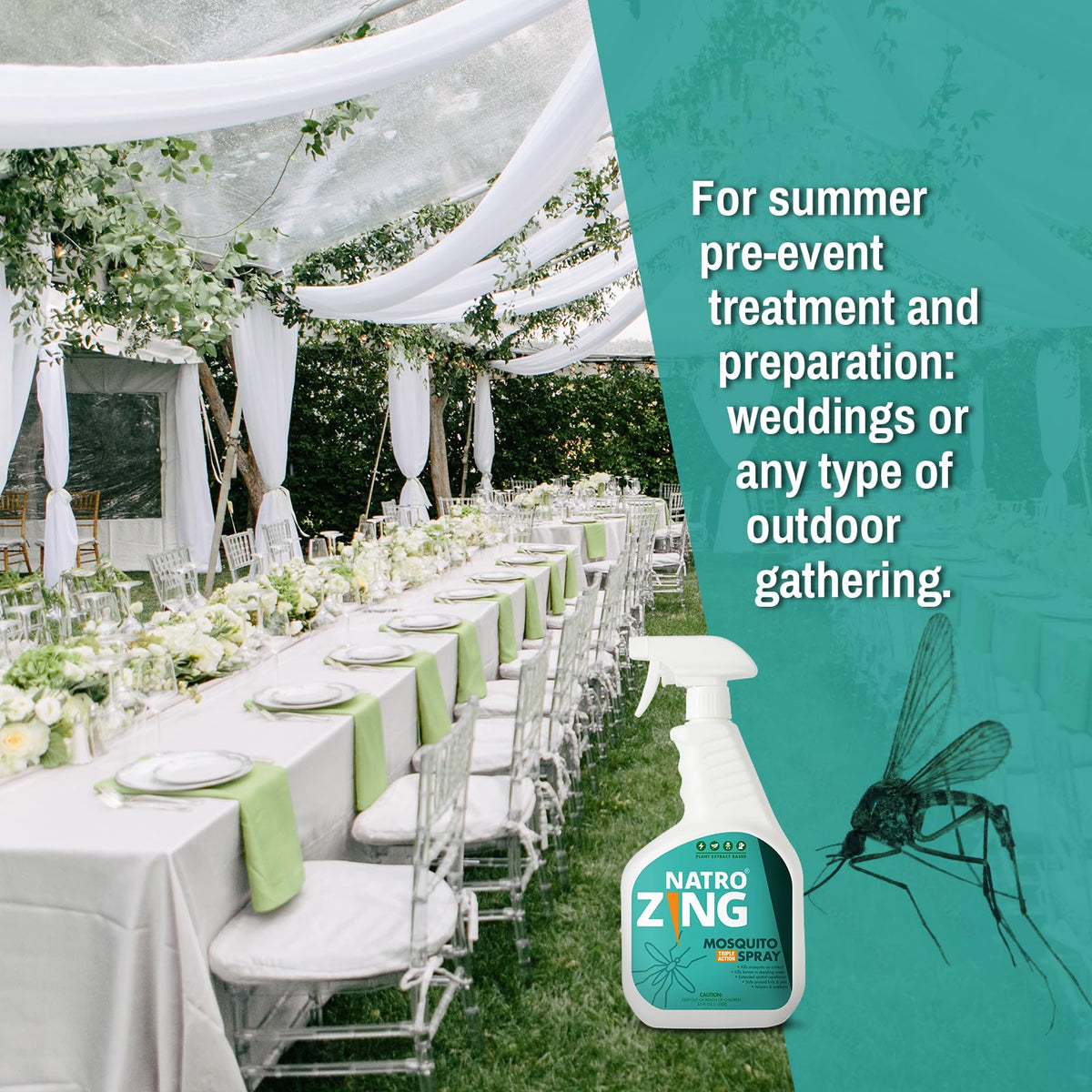NatroZing bottle back label highlighting safe, plant-derived ingredients.