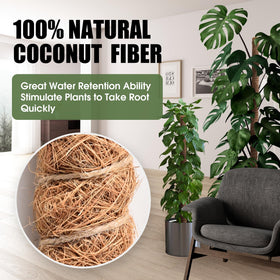 NATSUKY bendable moss pole helps air roots and moisture retention