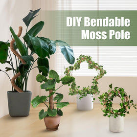 NATSUKY plant ties highlight secure, gentle support for plant stems.
