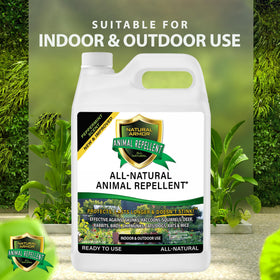 Natural Armor spray for indoor and outdoor use in garages patios and gardens