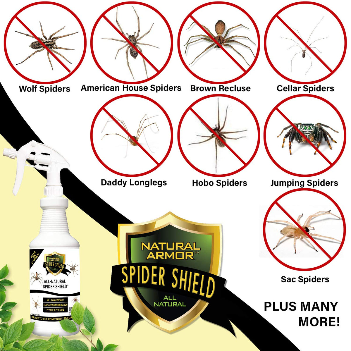 Natural Armor outdoor spray on sidewalk provides effective spider control.