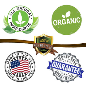 Natural Armor pest control solution supports outdoor barrier use near entryways.