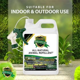 Outdoor sidewalk application of Natural Armor repellent spray showing broad coverage.