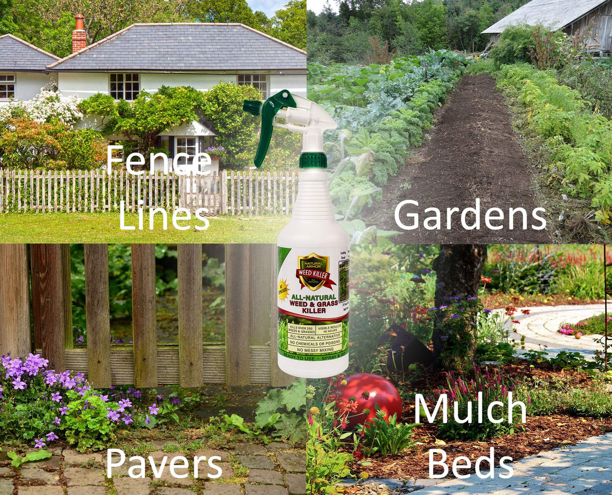 Natural Armor glyphosate-free formula with pet-friendly guidance for safety.