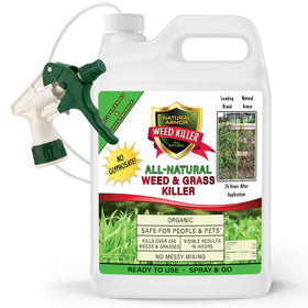 Natural Armor weed killer spray bottle demonstrates easy spray-and-go use
