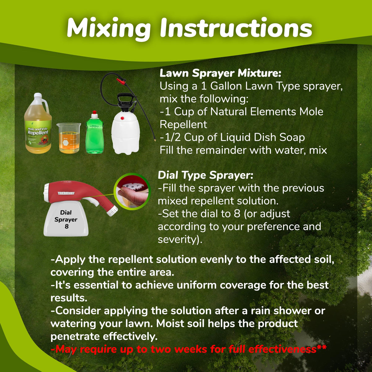 Natural Elements Mole and Vole Repellent-treated soil forms a protective barrier around the lawn.