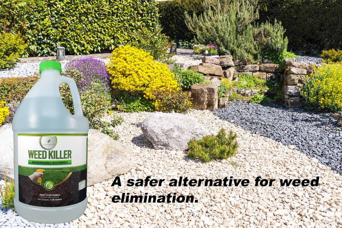 Natural Elements Weed Killer spray nozzle in action