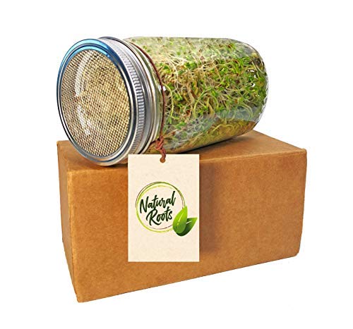 Natural Roots fresh sprouts in a bowl showcase versatile daily uses.