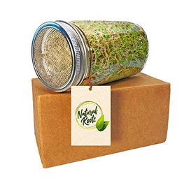 Natural Roots fresh sprouts in a bowl showcase versatile daily uses.