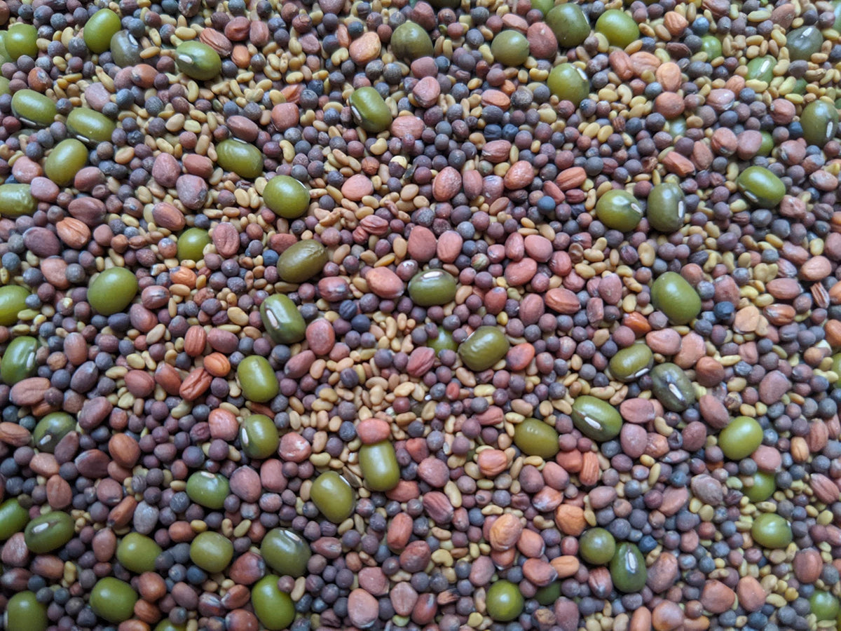Natural Roots salad mix seeds for colorful sprouts in meals