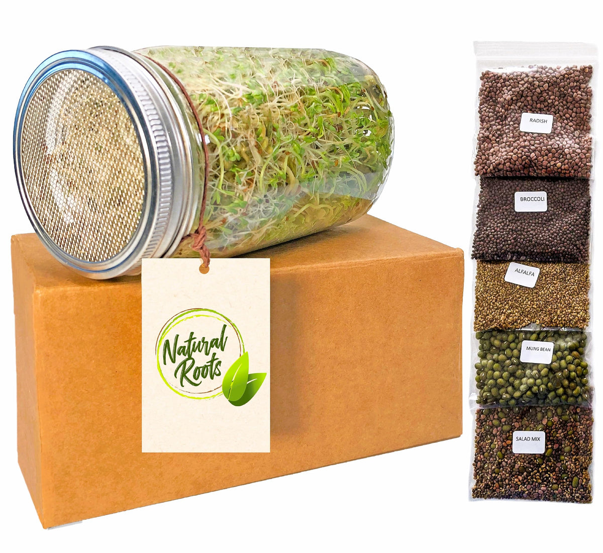 Natural Roots Sprouting Jar Variety Pack ready for fresh sprouts in the kitchen
