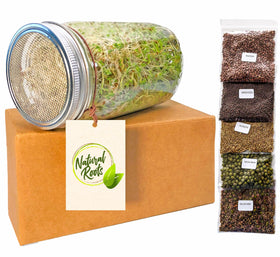Natural Roots Sprouting Jar Variety Pack ready for fresh sprouts in the kitchen