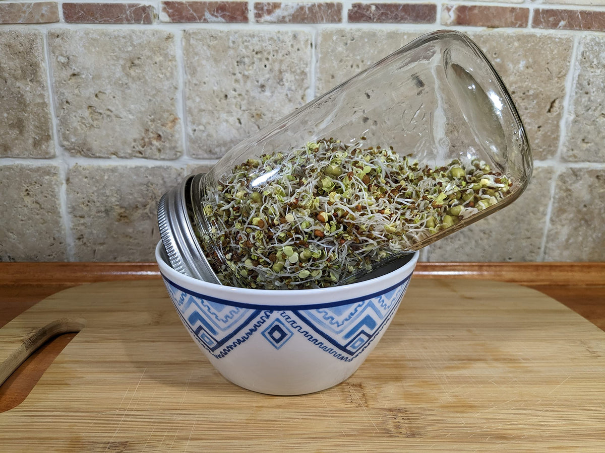 Natural Roots radish sprouting seeds highlight pink-tinted sprouts, perfect for salads.