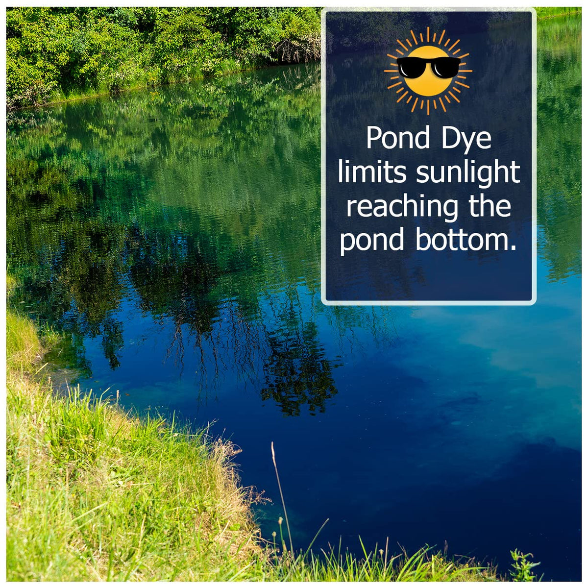 Natural Waterscapes Midnight Blue pond dye packets pond view enhances outdoor aesthetics.