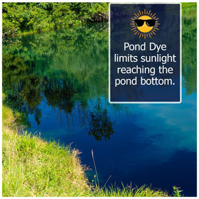 Natural Waterscapes Midnight Blue pond dye packets pond view enhances outdoor aesthetics.