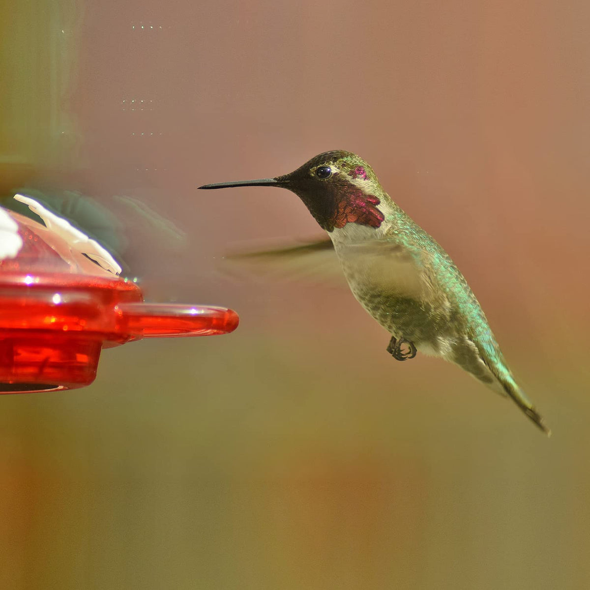 Gasket detail provides a reliable seal for mess-free nectar.