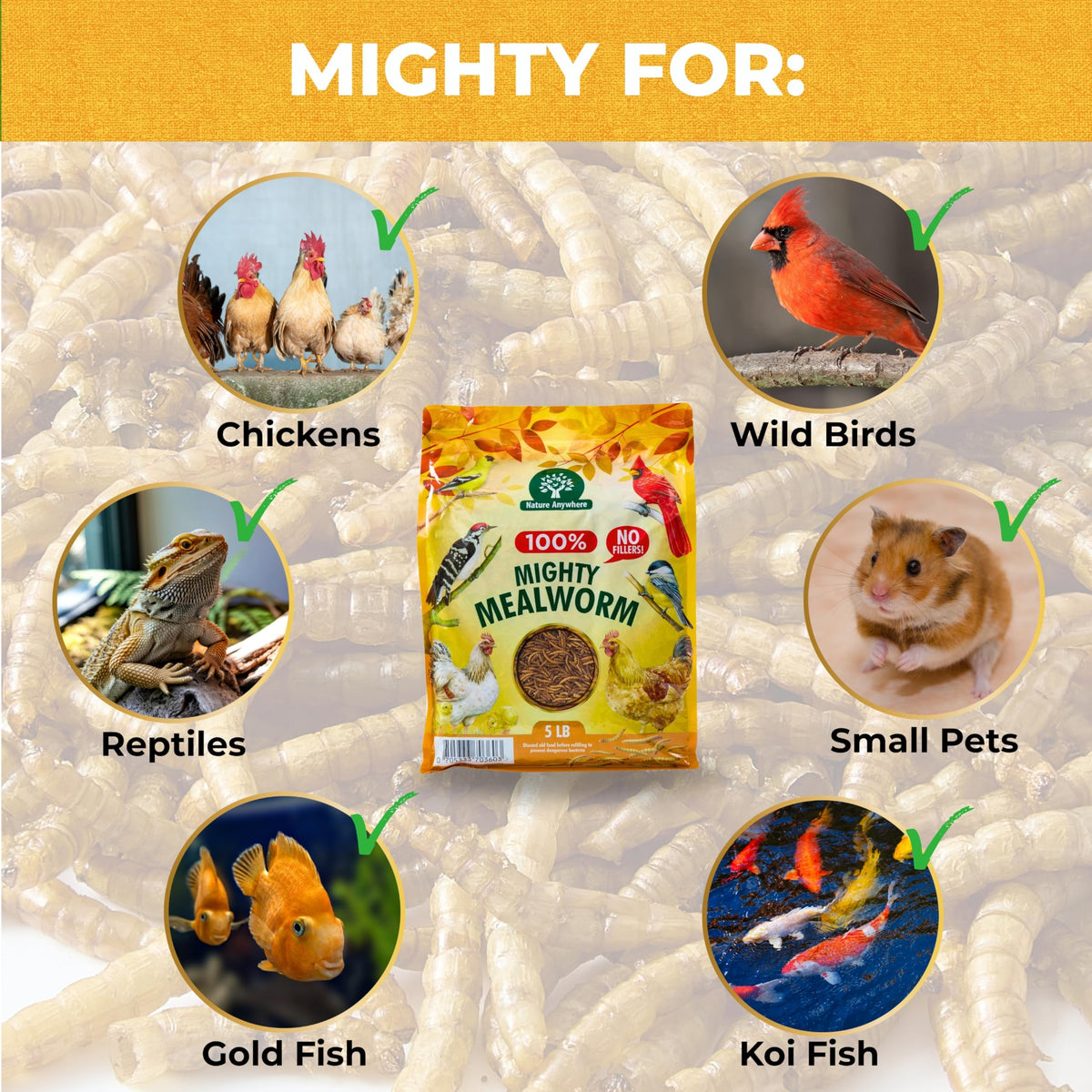 Nature Anywhere Mealworms crisp-dried texture close-up emphasizes freshness.